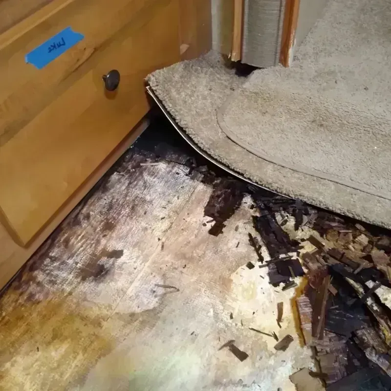 Wood Floor Water Damage in King George, VA